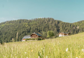 Bio Bauernhof Oberhinterberg Appartement